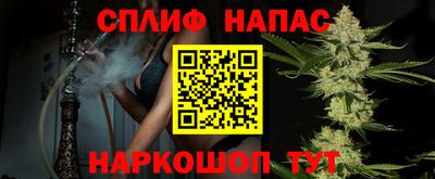 СК Будённовск