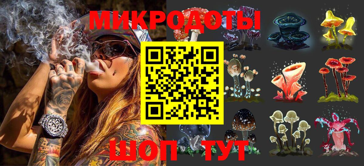 Псилоцибиновые грибы Cubensis Нальчик