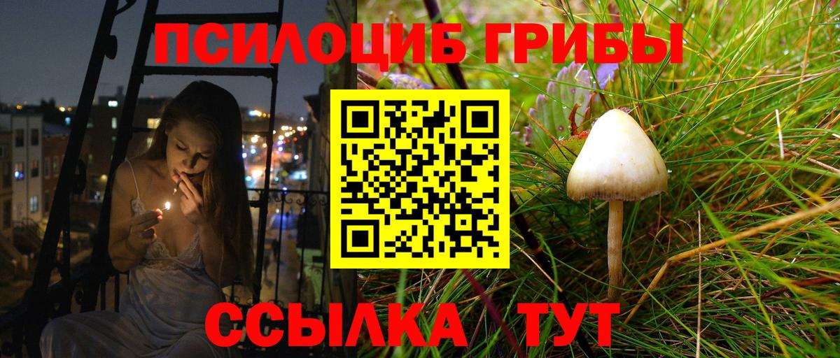 закладка  Псилоцибиновые грибы GOLDEN TEACHER  Нальчик  Вход с VPN  Псилоцибиновые грибы мухоморы 